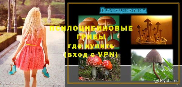 первитин Богородицк